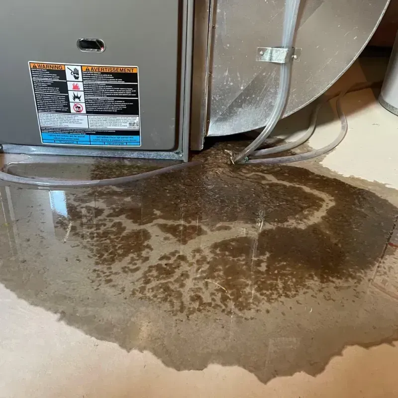 Appliance Leak Cleanup in Eureka Springs, AR